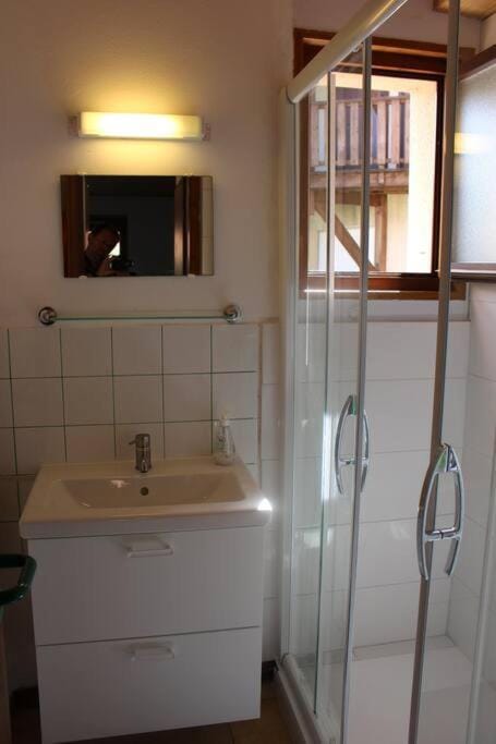 Gîte Le Bressaud Apartment in La Bresse