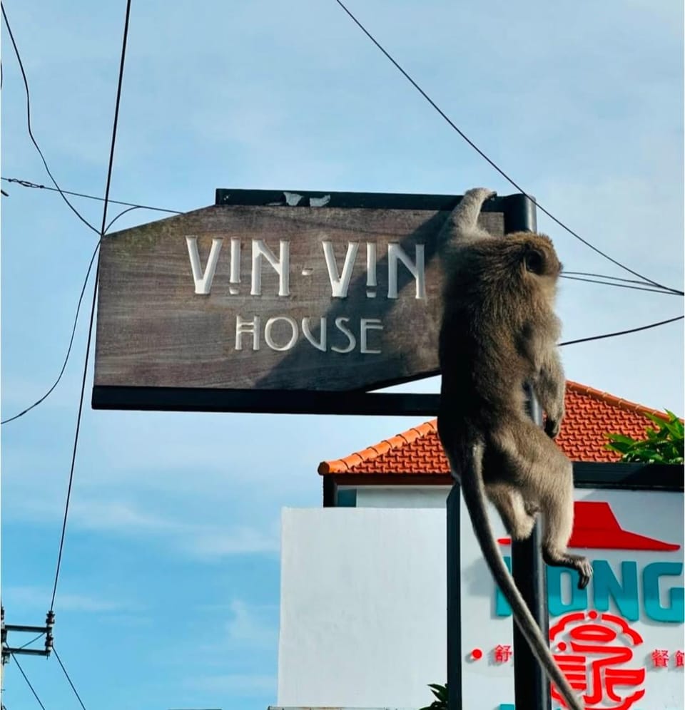 Vin vin Hostel in Ubud