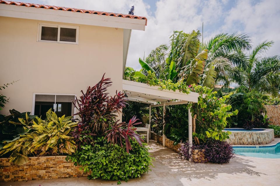 Property building, Patio, Garden, Swimming pool, furniture