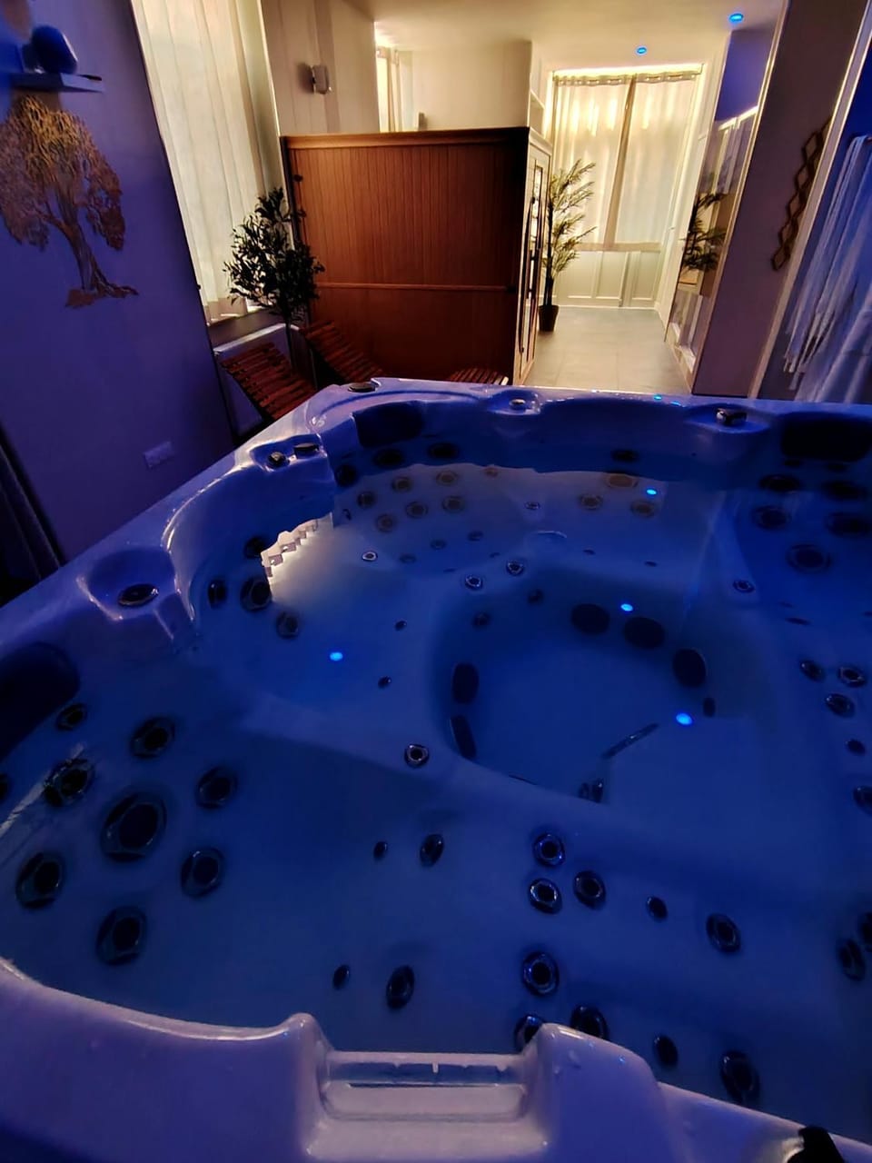 Spa and wellness centre/facilities