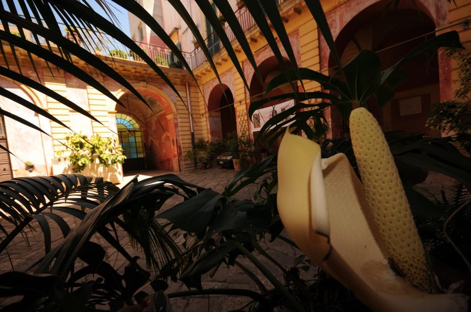 Property building, Facade/entrance, Garden, Balcony/Terrace, Decorative detail