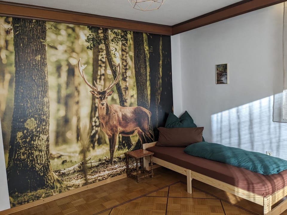 Bed, Photo of the whole room, Bedroom