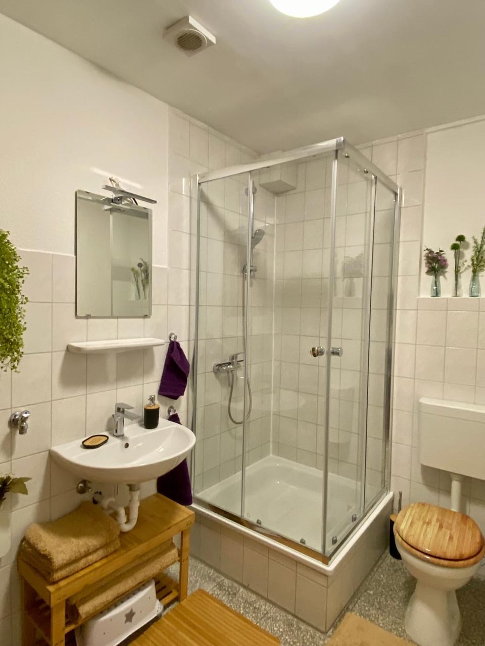 Shower, Bathroom