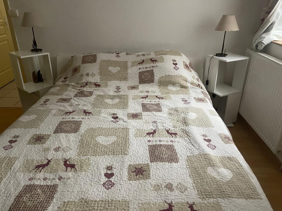 les Lucioles Apartment in Thonon-les-Bains