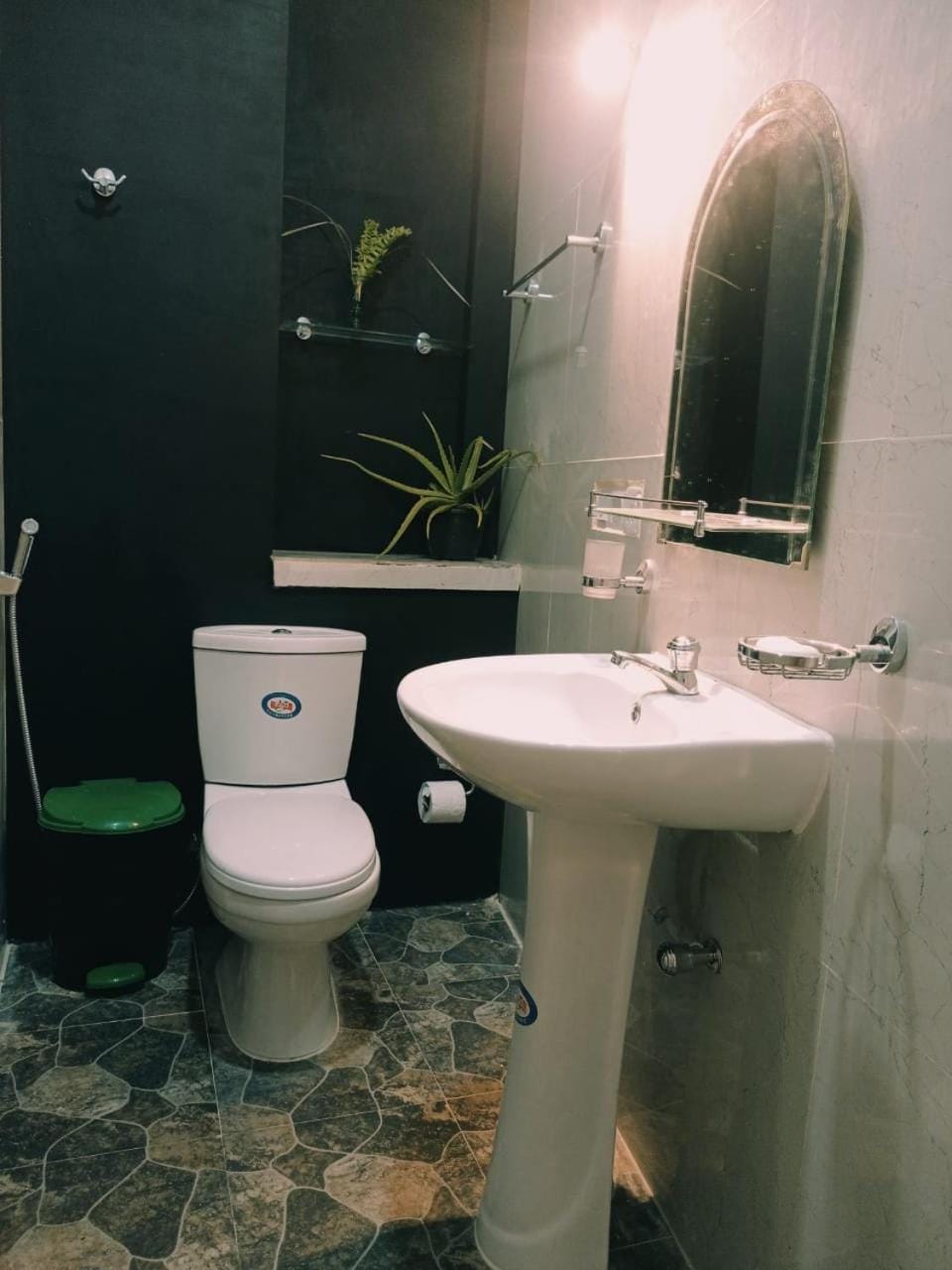 Shower, Toilet, Bathroom, bidet