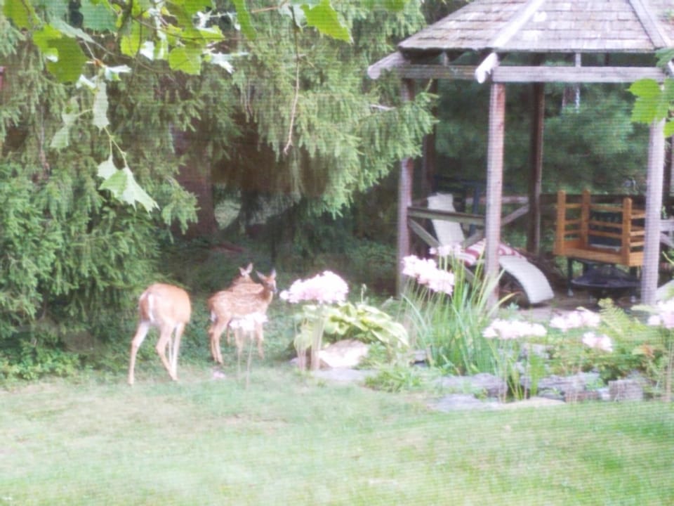 1936 Art & International Home Vacation rental in Ohio