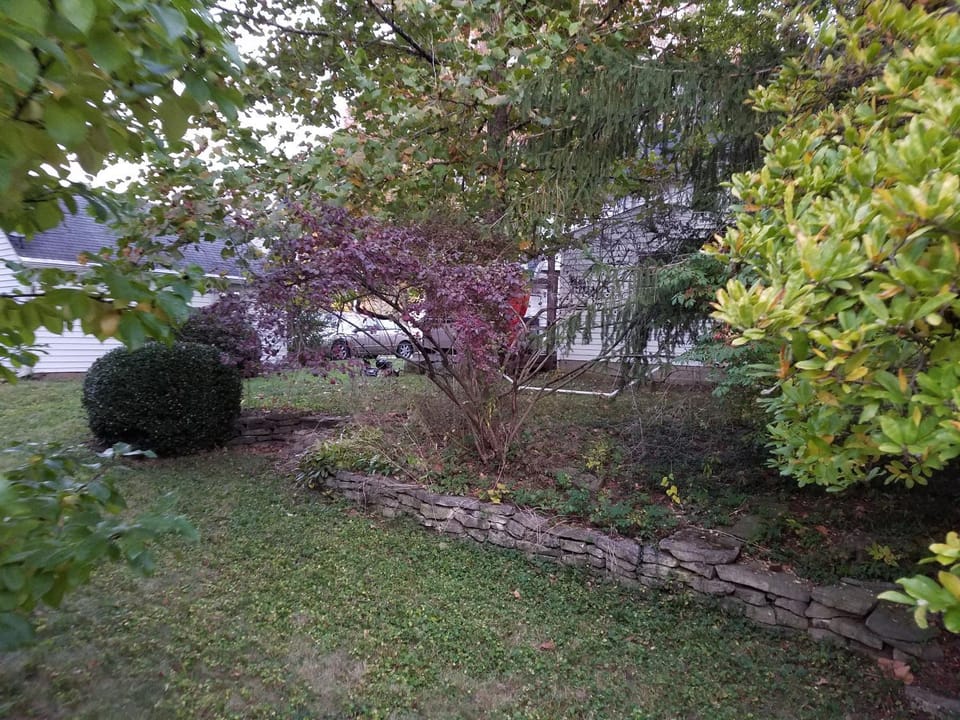 1936 Art & International Home Vacation rental in Ohio