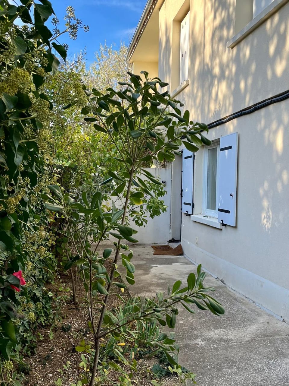 Property building, Garden, Garden