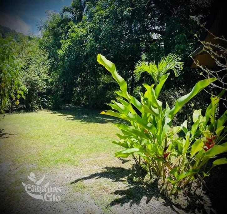 Casita Verde, 800 mts from beach House in Bahía Ballena