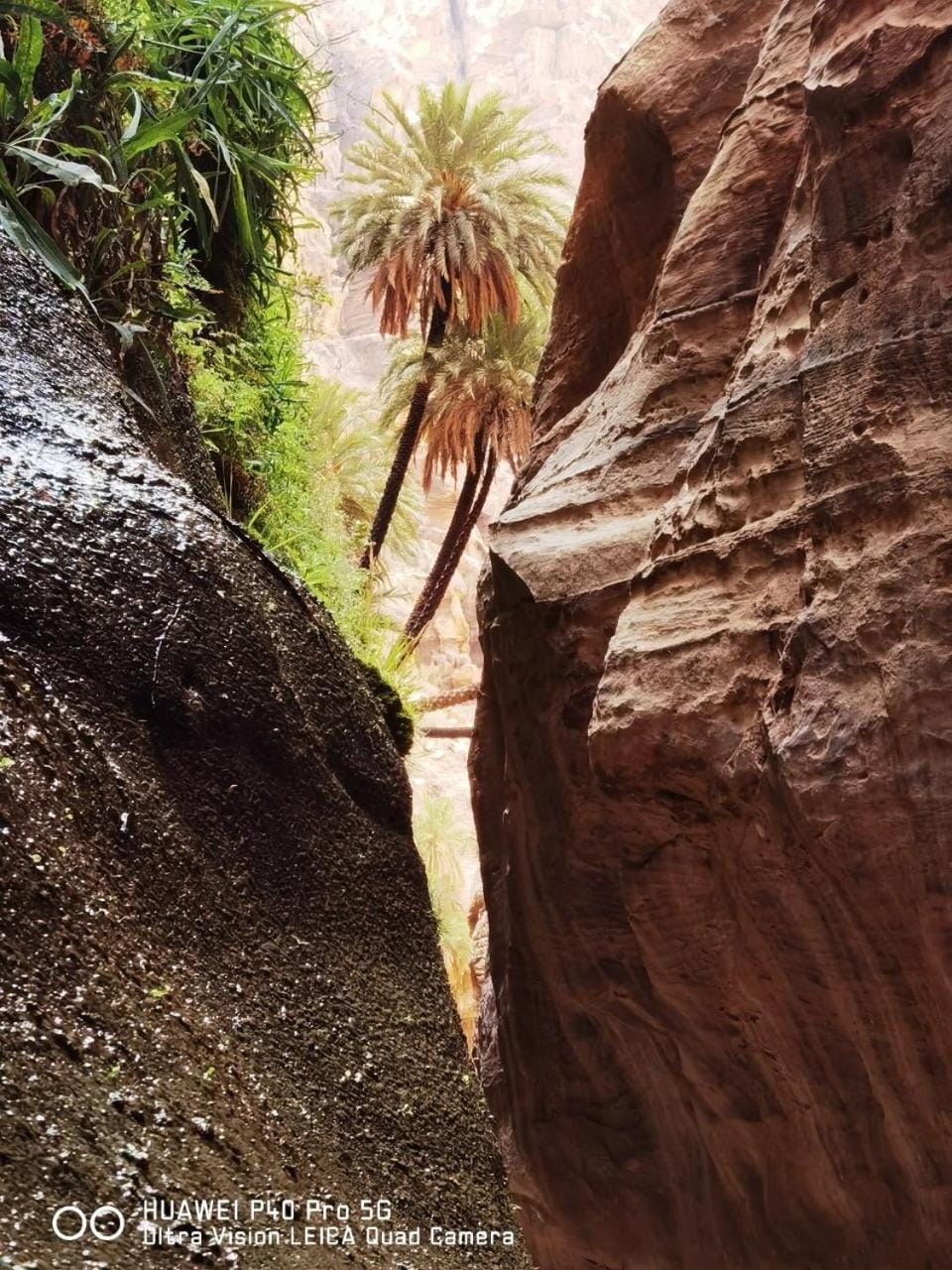 Natural landscape