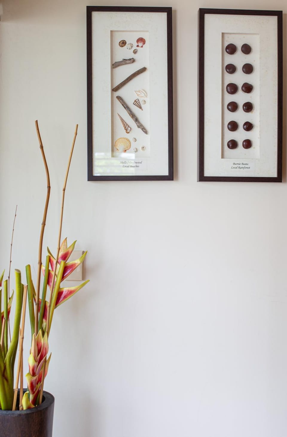 Hibiscus 52 - Fabulous Location 3 minutes walk to beach and Macrossan St Apartment in Port Douglas