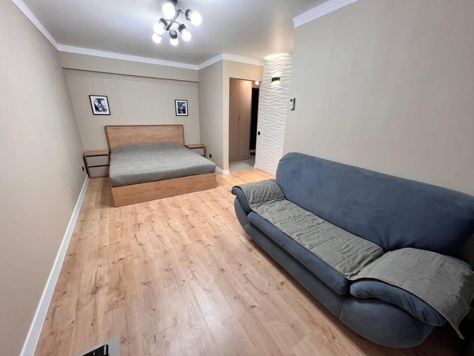Bed, Living room, Photo of the whole room, Seating area, Bedroom