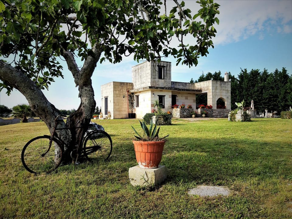 Property building, Facade/entrance, Garden view