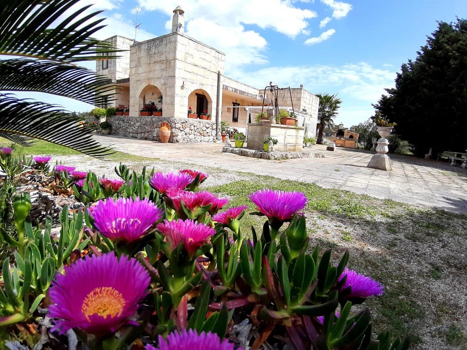 Property building, Garden