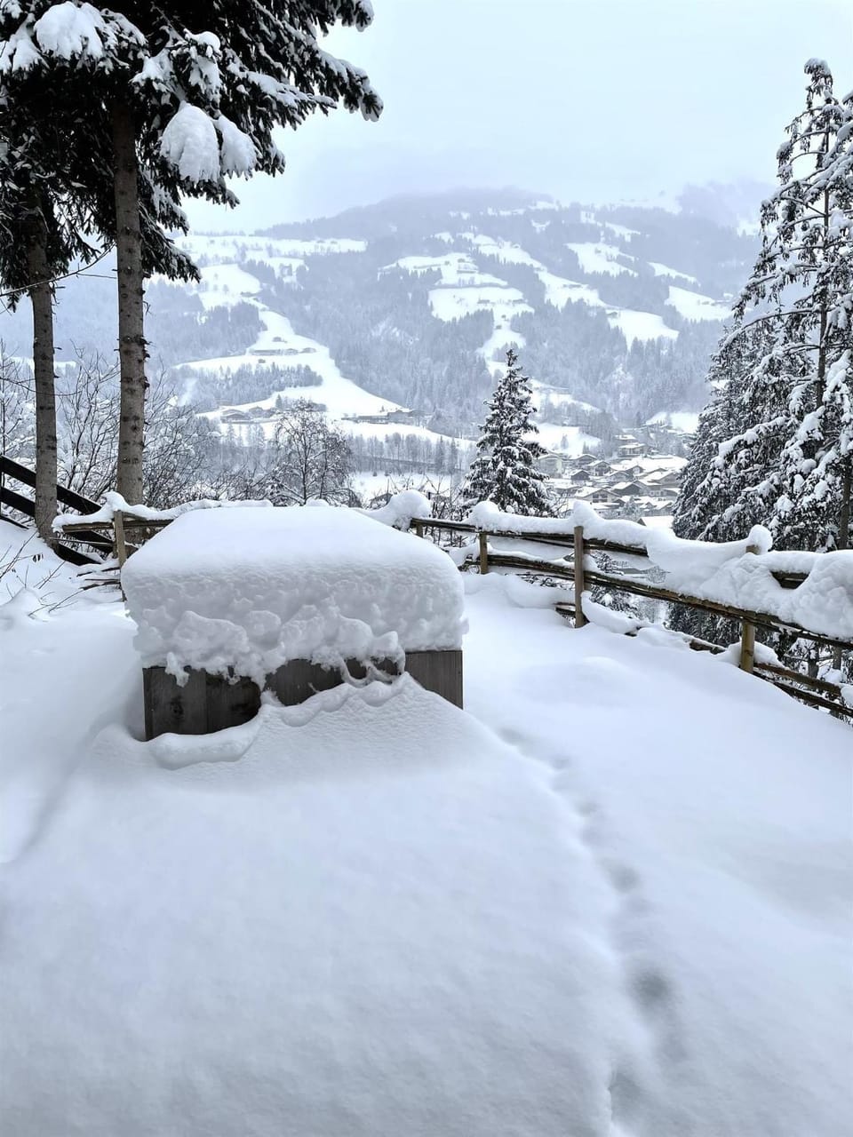 Winter, Mountain view