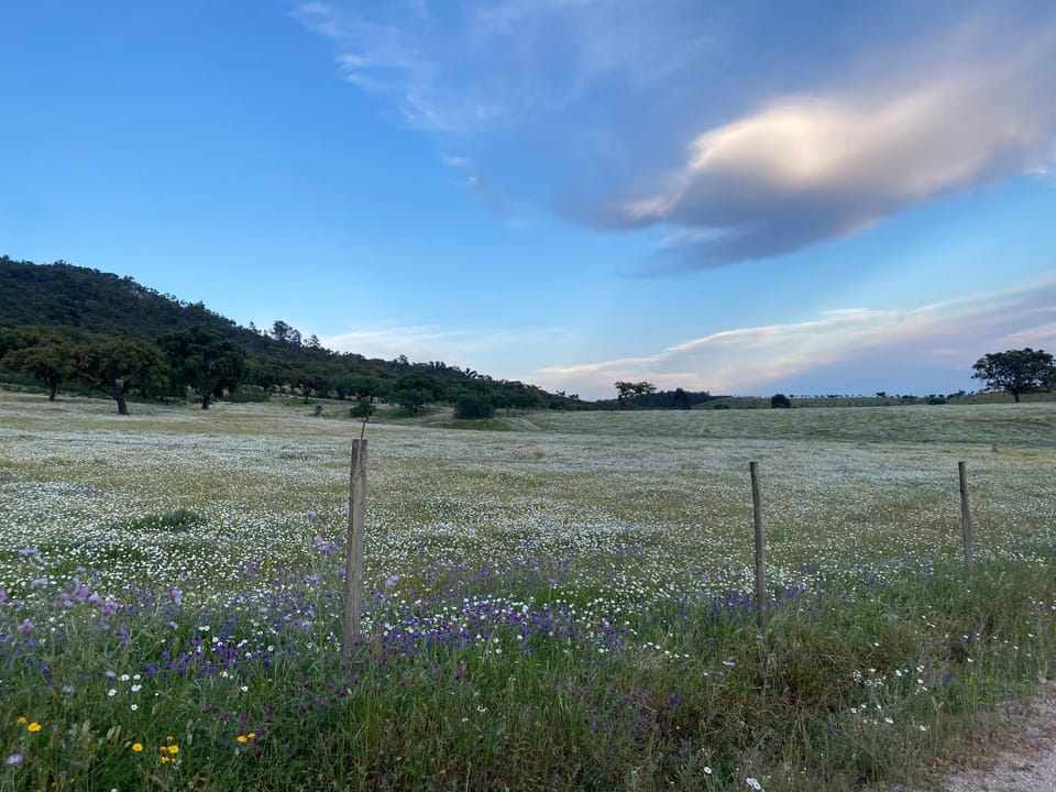 Monte da Esperanca Farm Stay in Extremadura, Spain