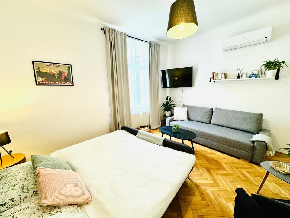 Bed, TV and multimedia, Photo of the whole room, Seating area, Bedroom, air conditioner