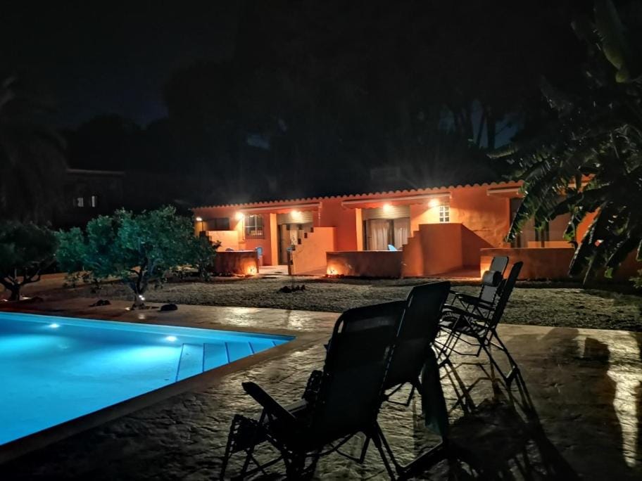 Garden, Swimming pool, sunbed