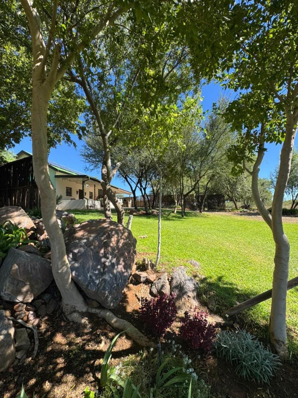 Garden view