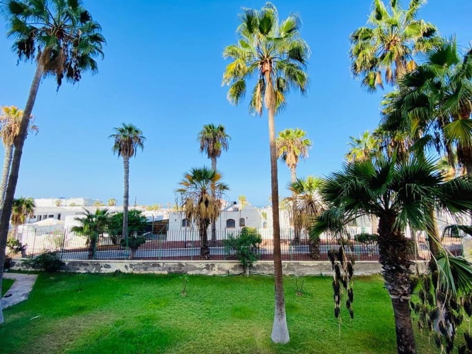Day, Natural landscape, Garden, Garden view