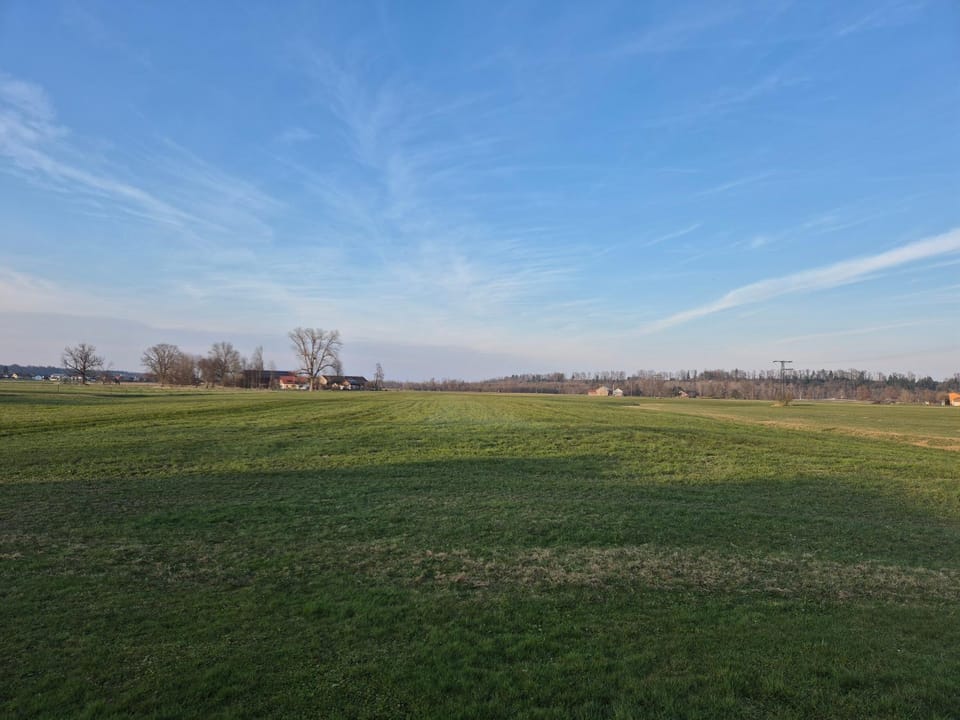 FeWo Alpenblick Apartment in Salzburgerland