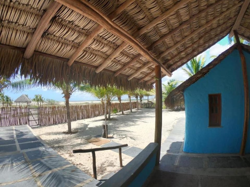 Patio, Natural landscape
