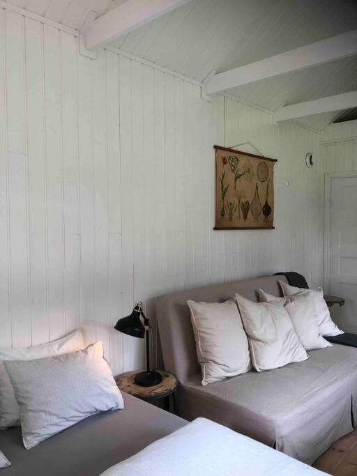Bed, Living room, Photo of the whole room, Seating area