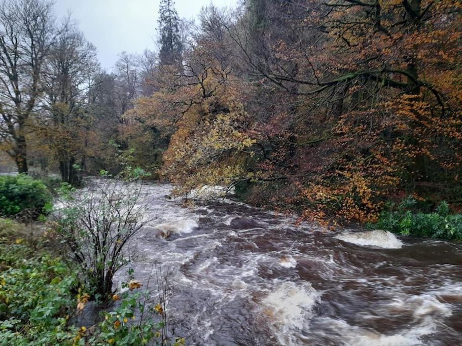 River view
