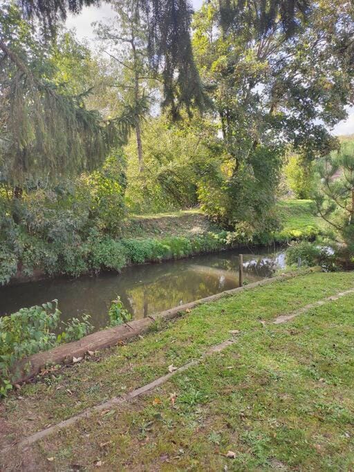 Garden view, River view
