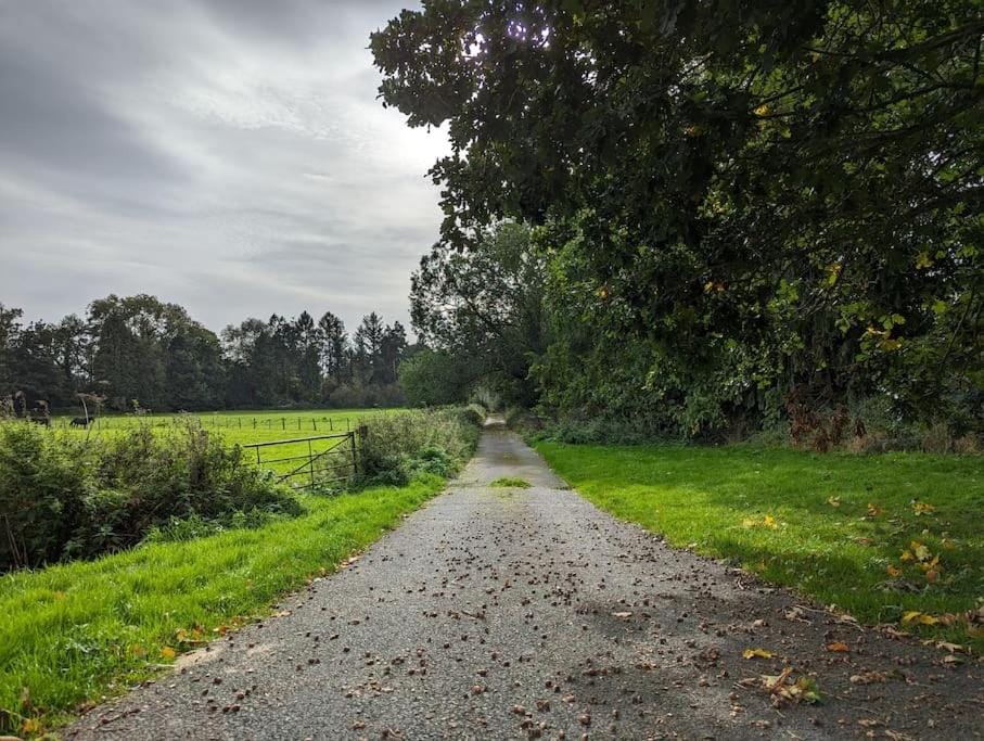 Day, Natural landscape