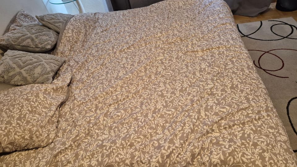 Chambre Cosy Lausanne Vacation rental in Lausanne