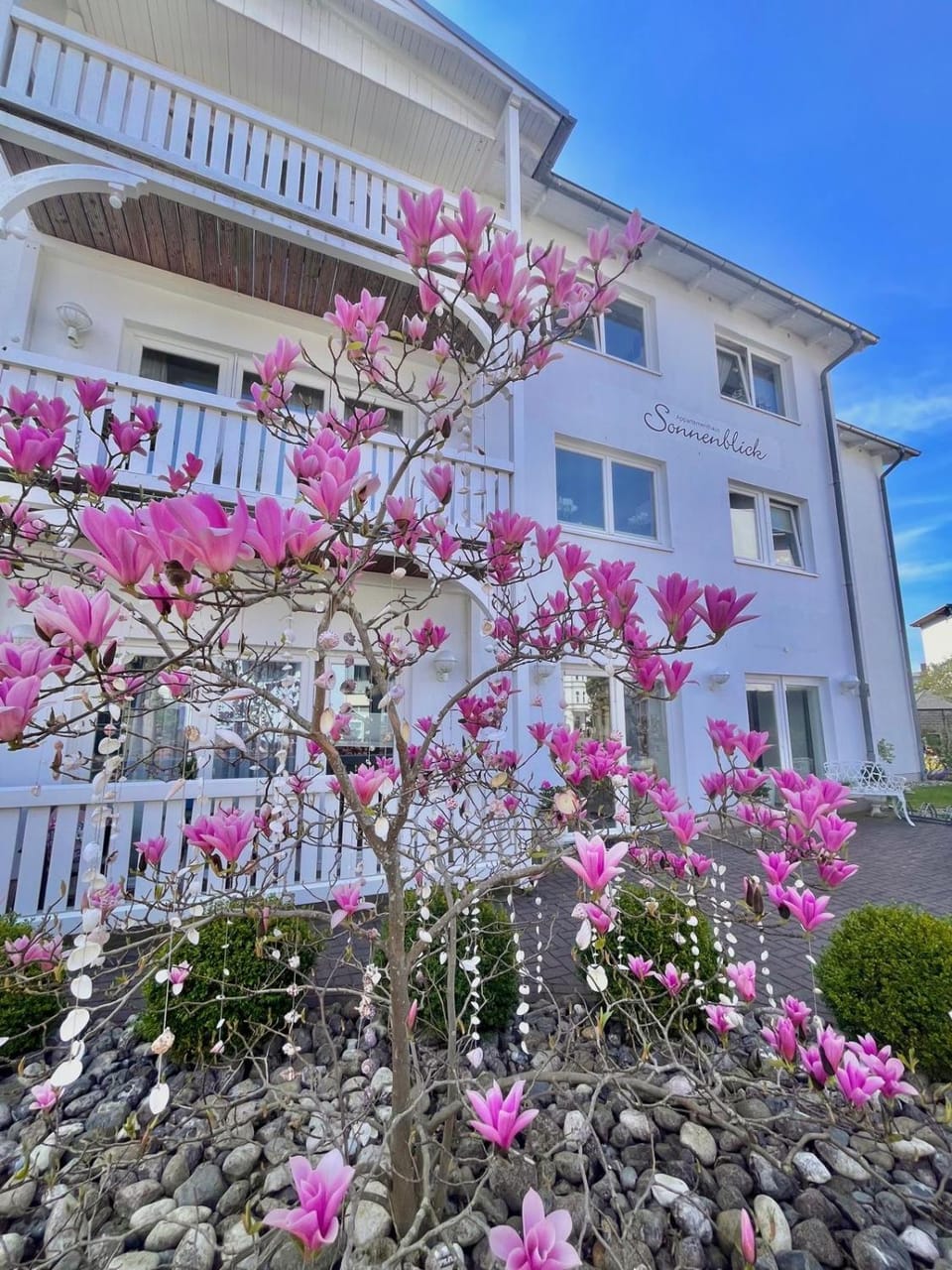 Apartmenthaus Sonnenblick in Binz - Parkplatz kostenlos Apartment in Binz