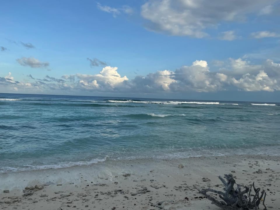 Apartmenthaus Sonnenblick in Binz - Parkplatz kostenlos Apartment in Binz