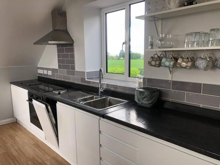 Kitchen or kitchenette, dishwasher, stove