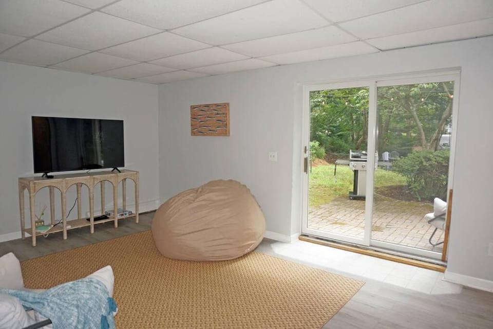 Game Room, TV and multimedia