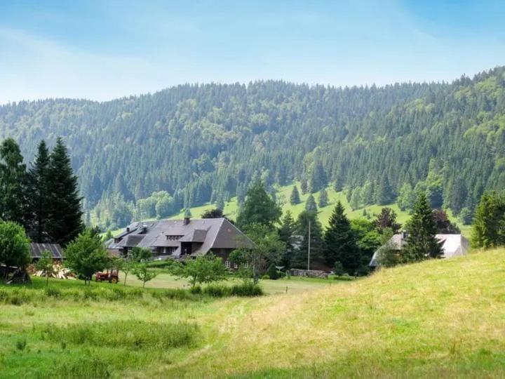 Natural landscape