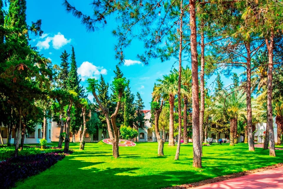 Natural landscape, Garden