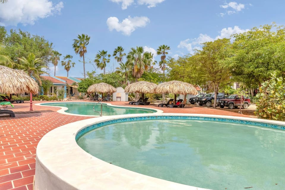 Garden, Swimming pool, Parking