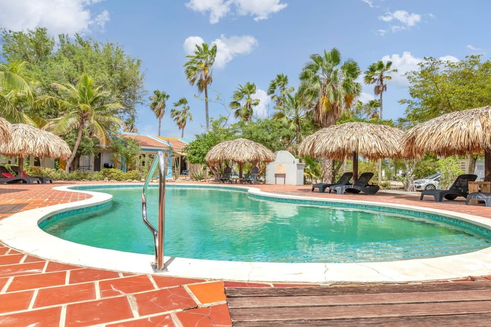 Day, Garden, Swimming pool