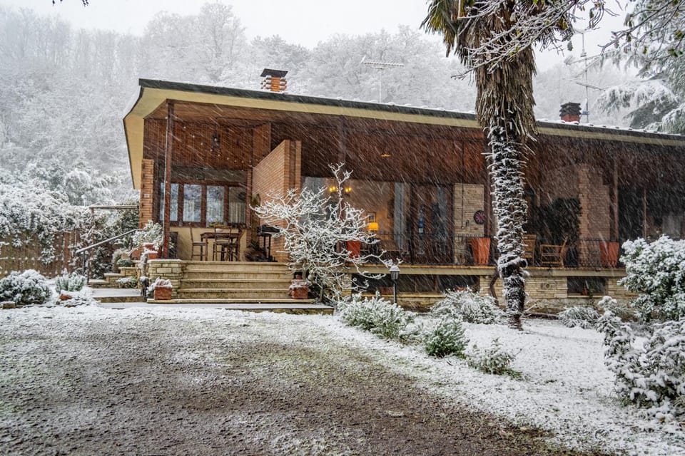Property building, Winter, Garden