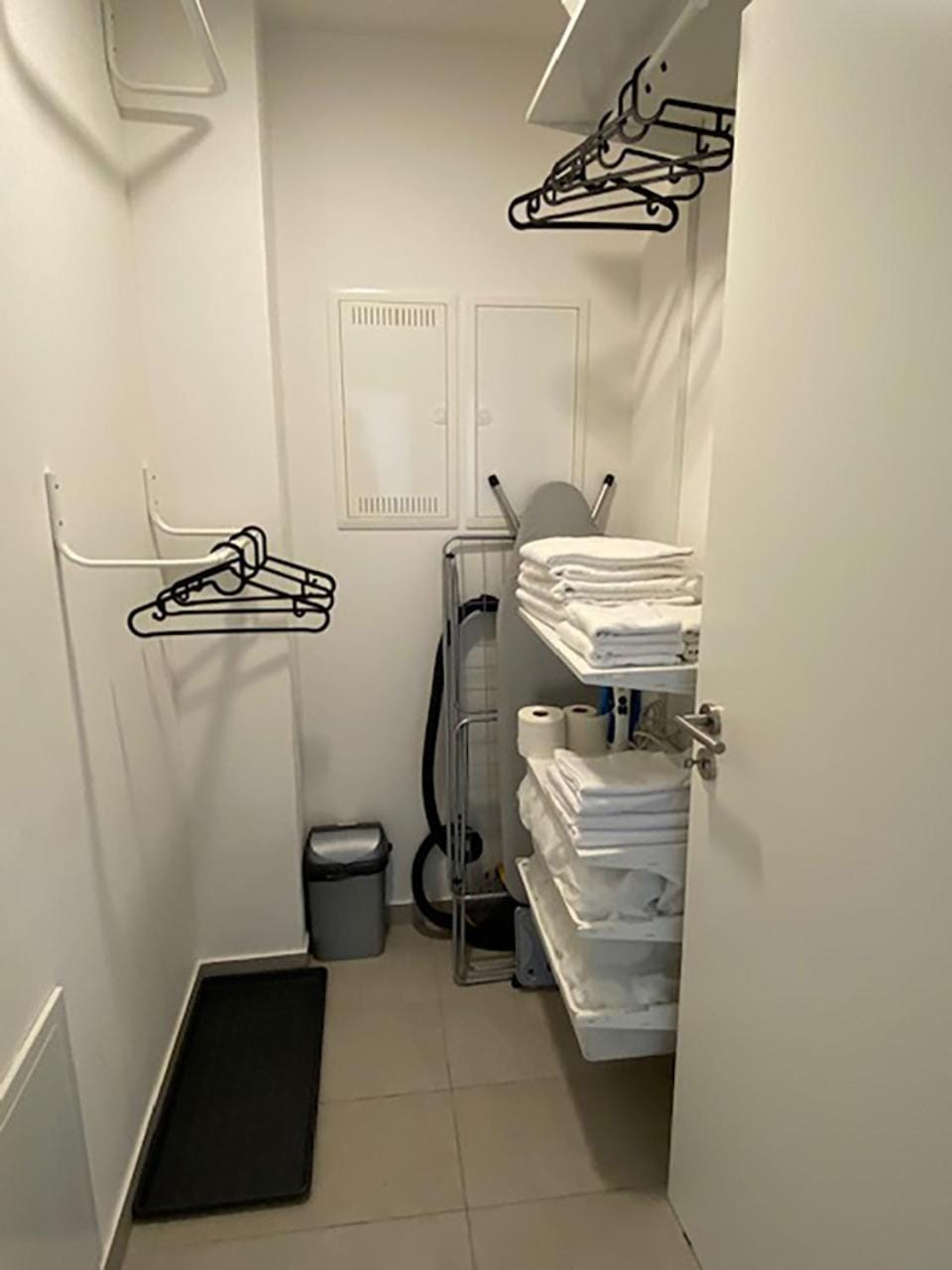 Photo of the whole room, flat iron, towels, wardrobe