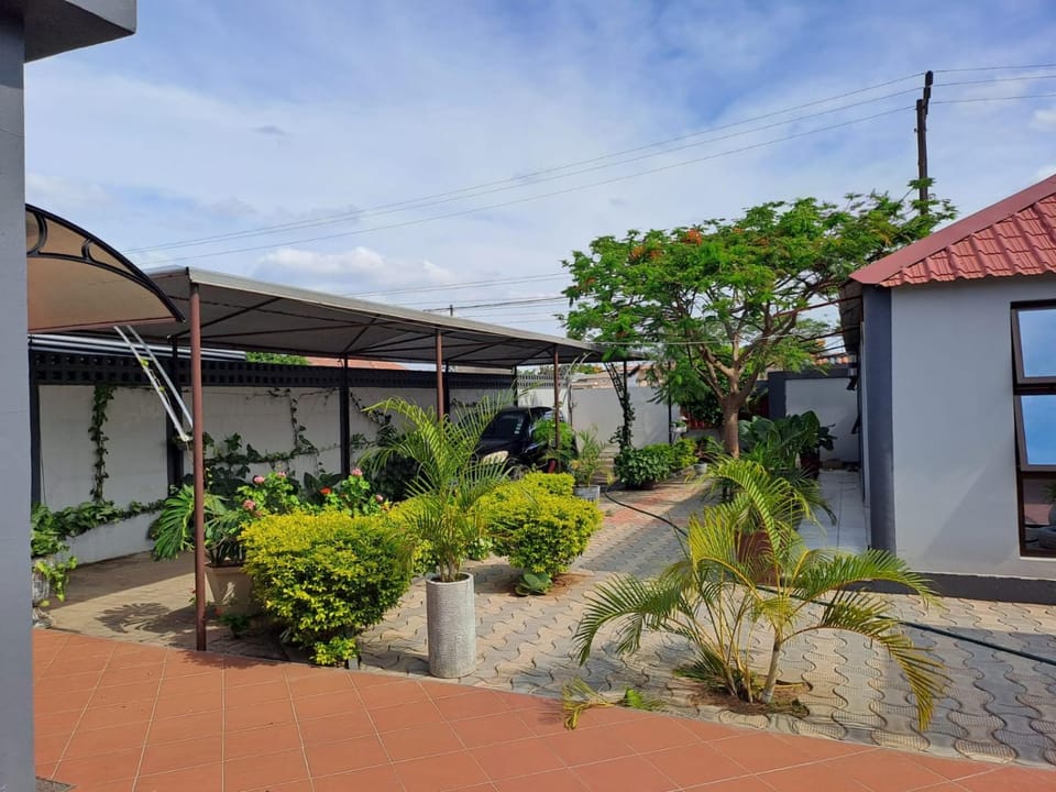 Day, Garden, Garden view