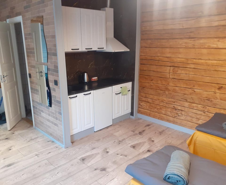 Kitchen or kitchenette, stove