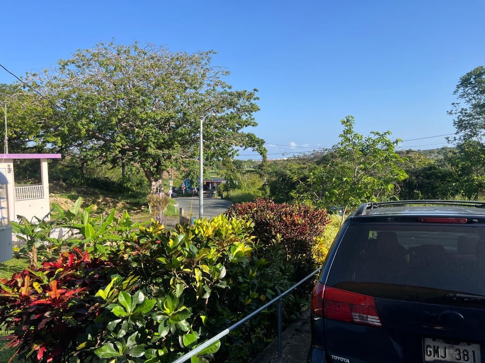 View (from property/room)