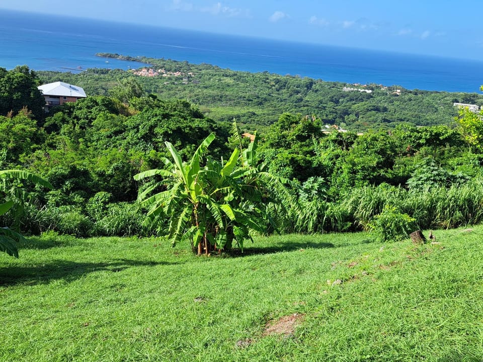 BAS de VILLA LE ROCHER AVEC VUE SUR MER House in Le Diamant