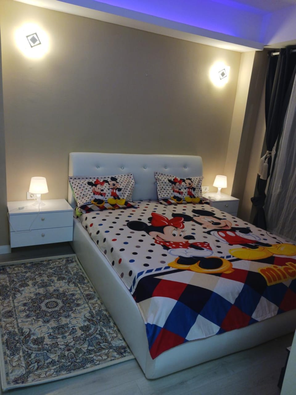 Myky Mouse nu primesc santieristi si petrecareti Apartment in Bucharest