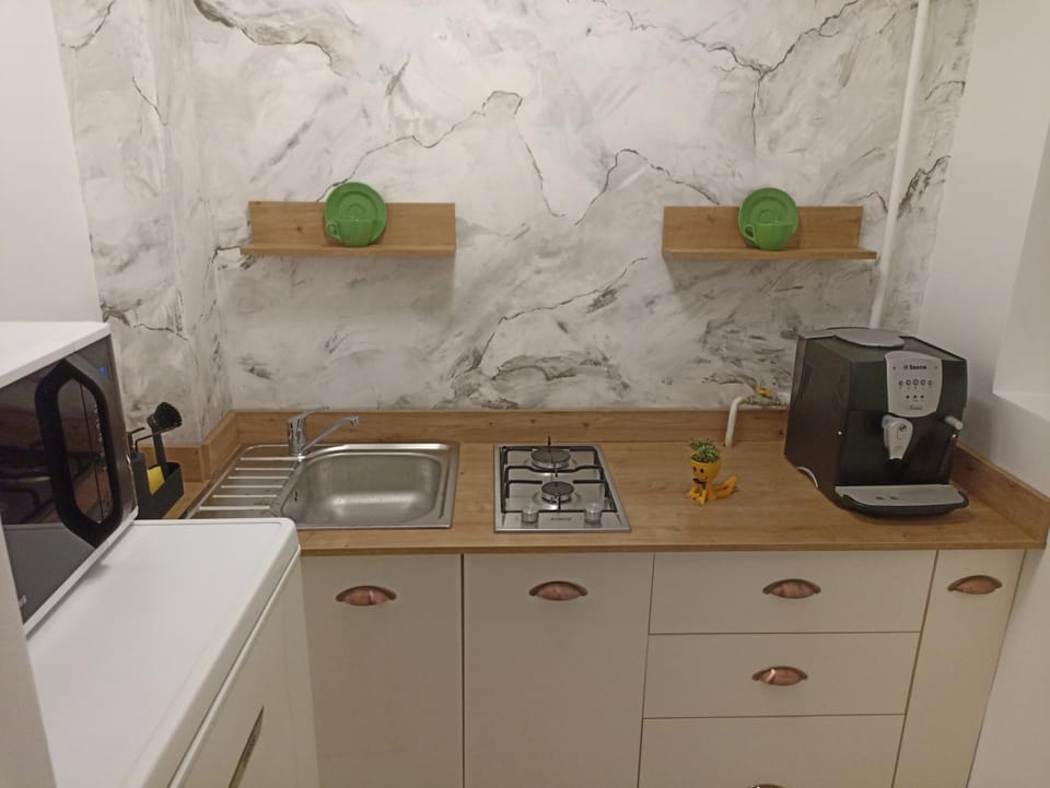 Coffee/tea facilities, Kitchen or kitchenette, minibar, stove