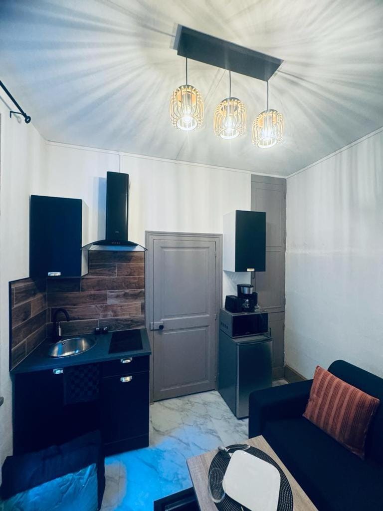 Le green touch, studio centre ville historique Apartment in Bourges