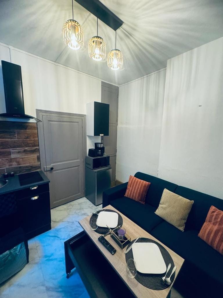 Le green touch, studio centre ville historique Apartment in Bourges
