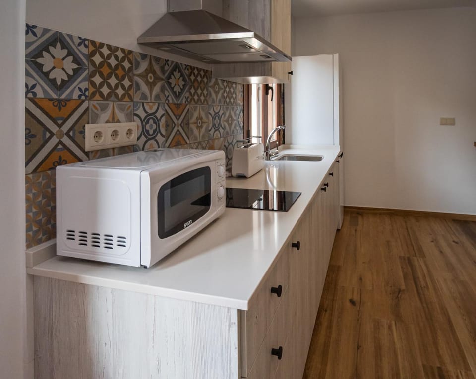 Kitchen or kitchenette, minibar, stove, toaster